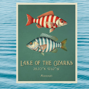 Lac des Ozarks Missouri poisson Carte postale