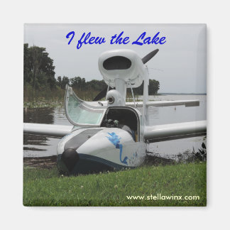 Lac Magnet