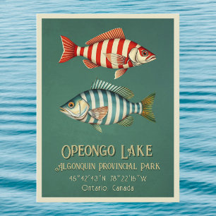 Lac Opeongo Ontario Canada carte postale de pêche