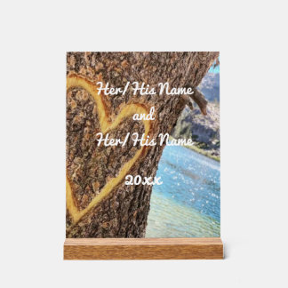 Lac Tahoe Blue Water Tree Heart Love
