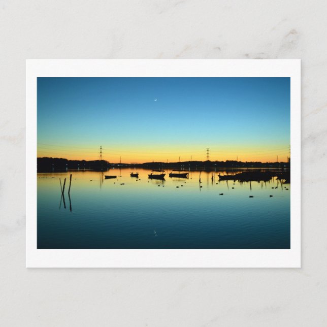 Lac Teganuma : Abiko, Japon Carte postale (Devant)