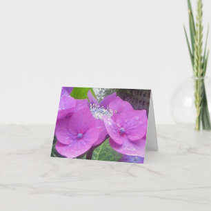Lacecap Hydrangea-Anmerkungs-Karte Karte