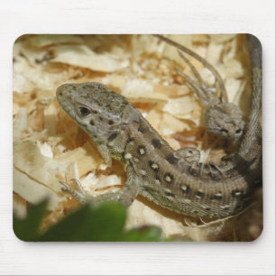 Lacerta agilis mousepad