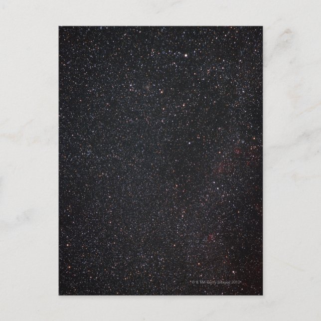 Lacerta Postkarte (Vorderseite)