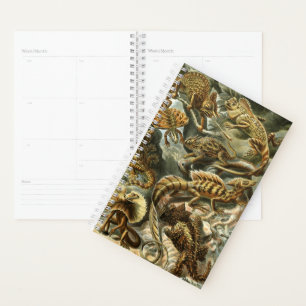 Lacertilia, lézards par Ernst Haeckel Planner