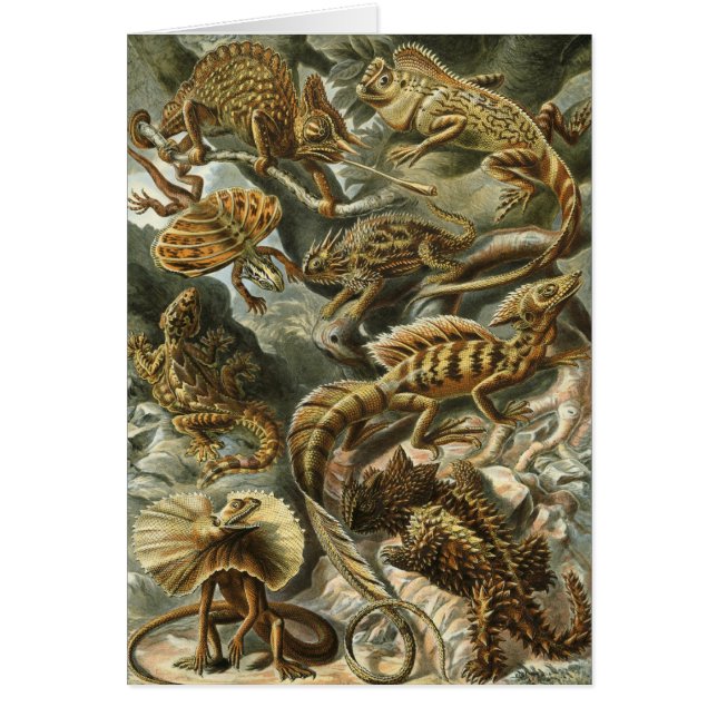 Lacertilia par Ernst Haeckel Vintage Lizard Animau (Devant)
