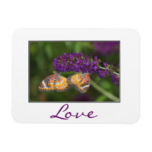 Lacewing Butterfly Duet Magnet