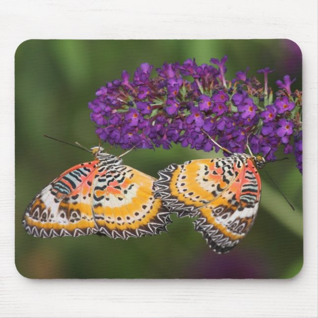 Lacewing Duet Mousepad (Vorne)