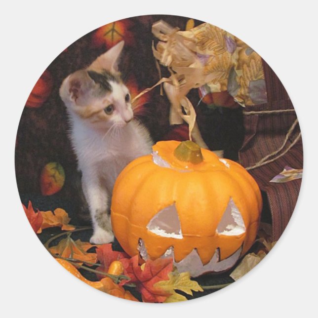 Lacey - Chat / Autocollants de chaton d'Halloween (Devant)