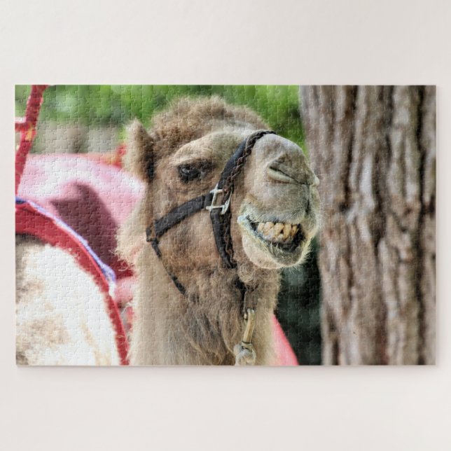 Lächeln (Horizontal)