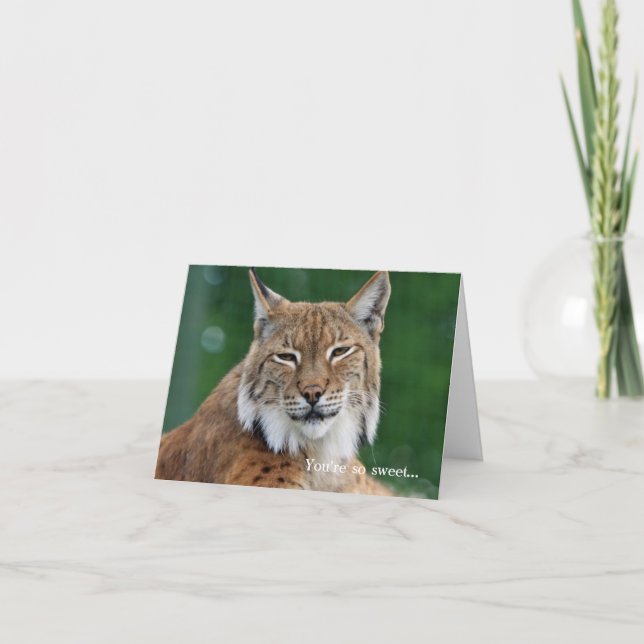 Lächeln Bobcat Custom Danke Note Card (Vorderseite)