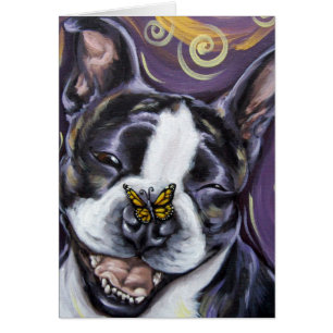 Lächeln Bostons Terrier