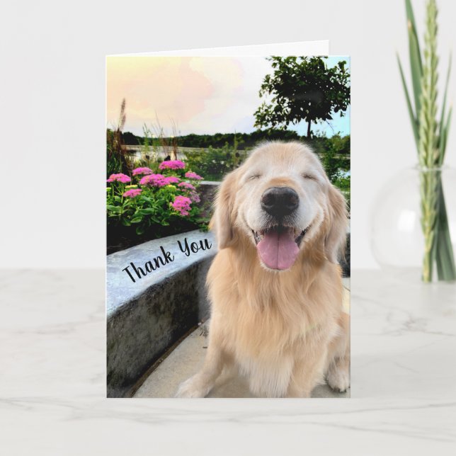 Lächeln Golden Retriever bei Sunset Danke Karte (Vorderseite)