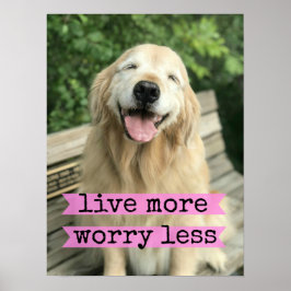 Lächeln Golden Retriever Hund leben mehr Sorgen we Poster