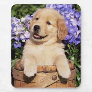 Lächeln Golden Retriever Puppy Hund Mouse Pad Mousepad