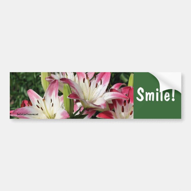Lächeln-Lilien-Blumen-Inspirational Autoaufkleber (Vorne)