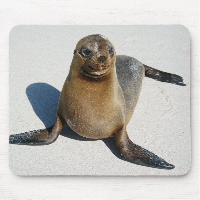 Lächeln Mousepad (Vorne)