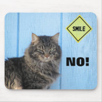 Lächeln? Nein! Cat Meme
