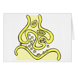 Lächeln Neurotransmitter