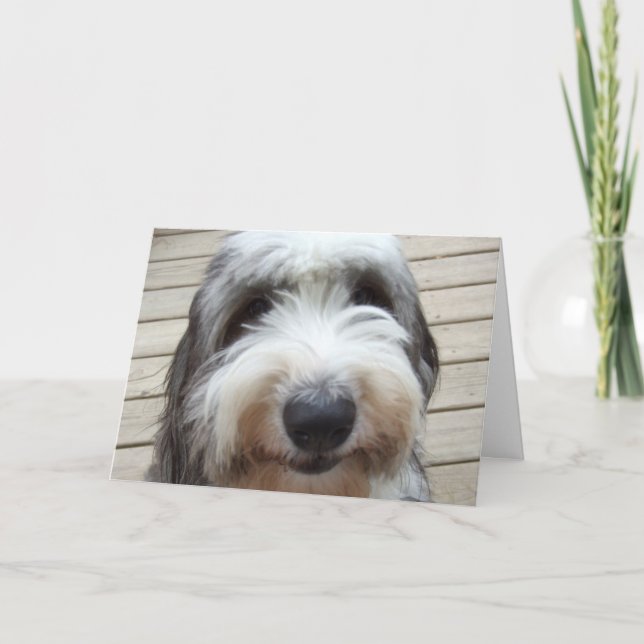 Lächeln Old English Sheepdog Card Karte (Vorderseite)