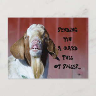 Lächeln... Postkarte