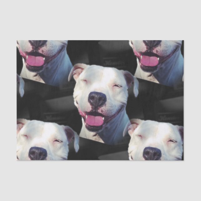 Lächeln Seidenpapier (Vorderseite)