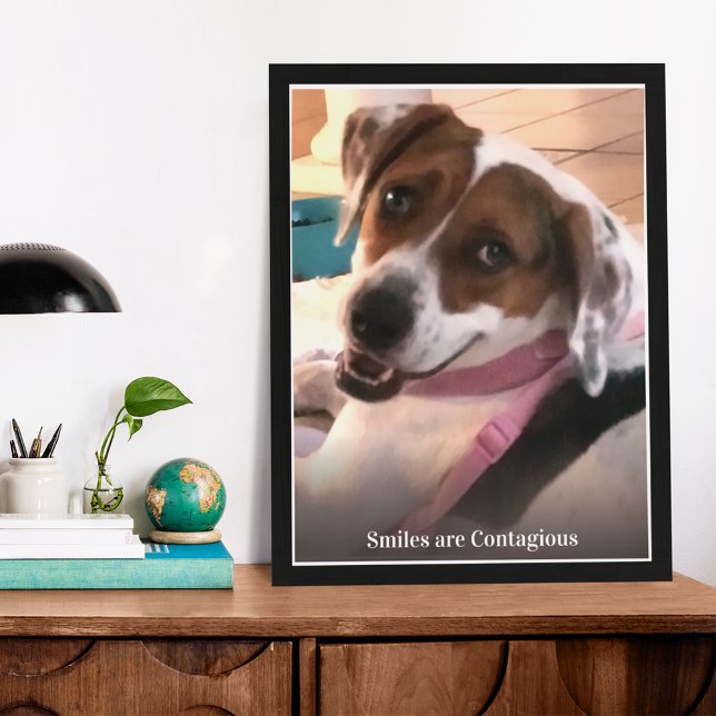 Lächeln sind ansteckende lächelnde Hunde Fotodruck (Von Creator hochgeladen)