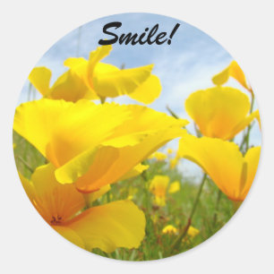 Lächeln-Sticker Helle sonnige orange Mohnblumen Runder Aufkleber