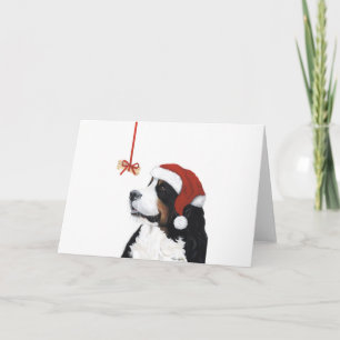 Lächeln Weihnachten