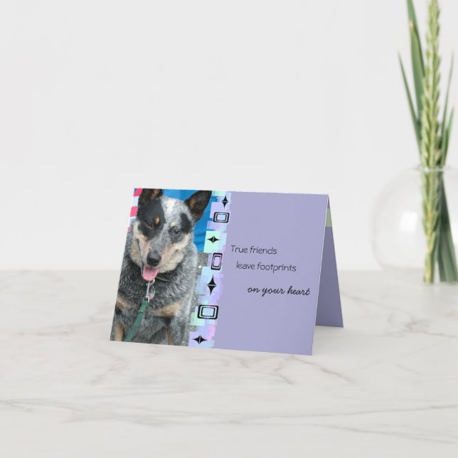 Lächelnd australischer Rind Hund Geburtstag Gruß Karte (Vorderseite)