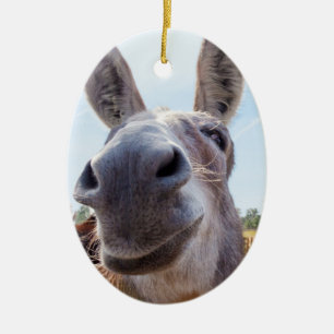 Lächelnd Donkey Weihnachtsschmuck