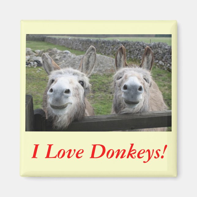 Lächelnd Donkeys! Magnet (Vorne)