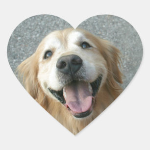 Lächelnd Golden Retriever Herz-Aufkleber