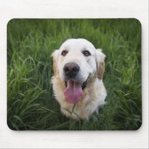 Lächelnd Golden Retriever Mousepad