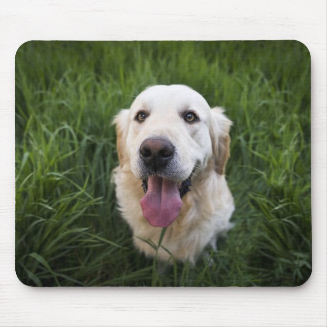 Lächelnd Golden Retriever Mousepad (Vorne)
