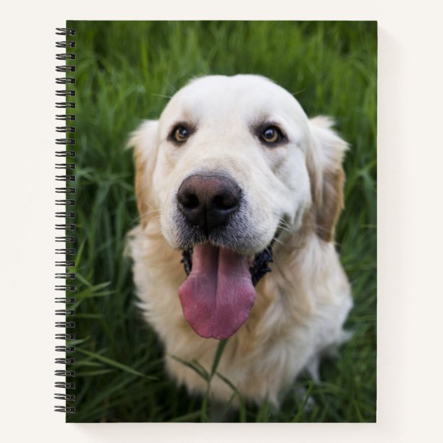 Lächelnd Golden Retriever Notizbuch (Vorderseite)
