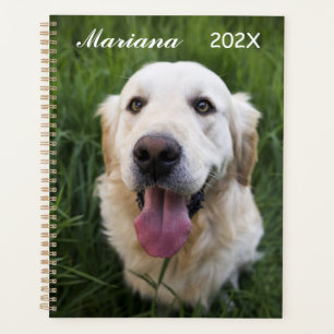 Lächelnd Golden Retriever Planer