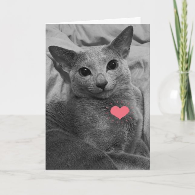Lächelnd Katze Valentine Karte (Vorderseite)