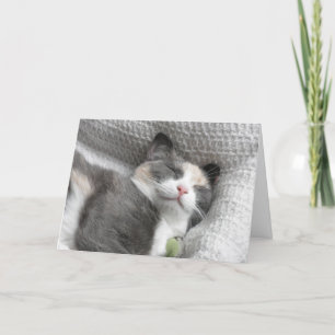 Lächelnd Kitty Dankeschön Card Dankeskarte