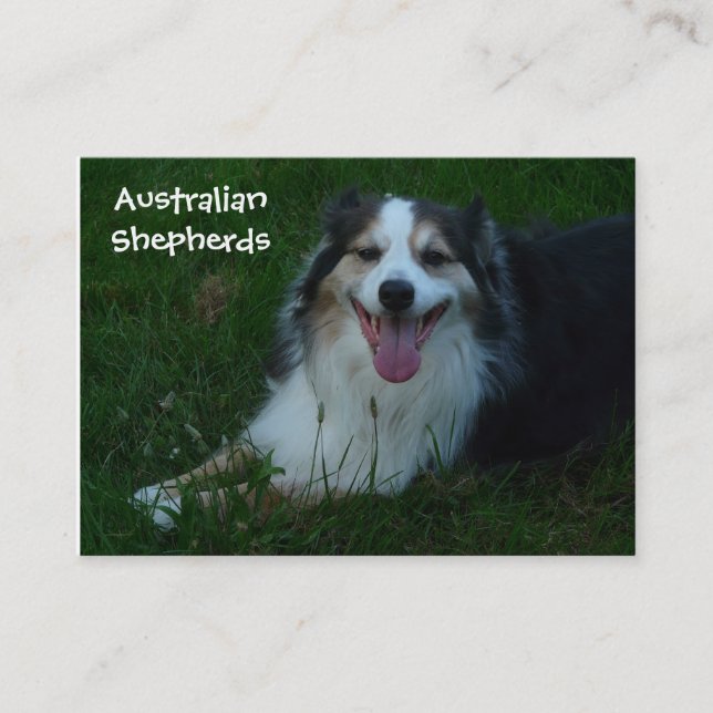 Lächelnde australische Schäfer-Visitenkarte Visitenkarte (Vorderseite)