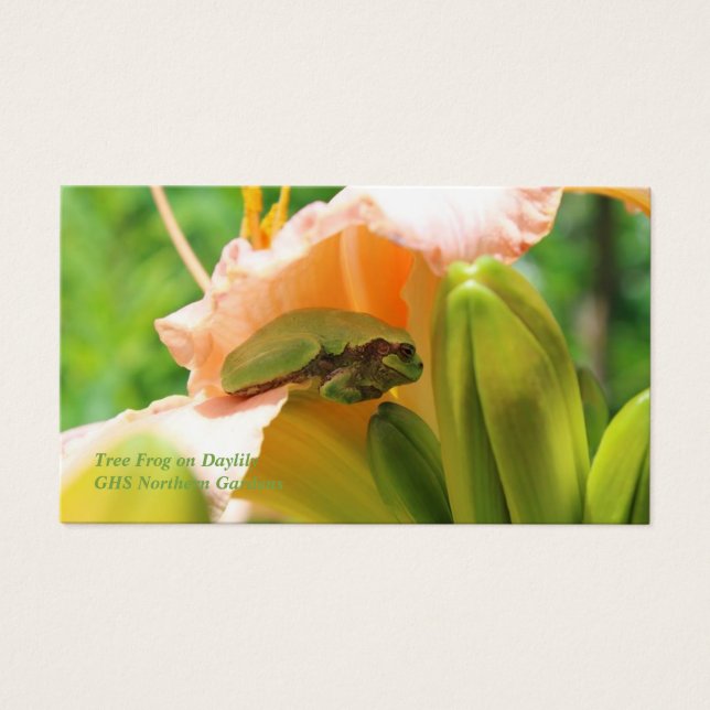 Lächelnde Baumfrösche (Vorderseite)