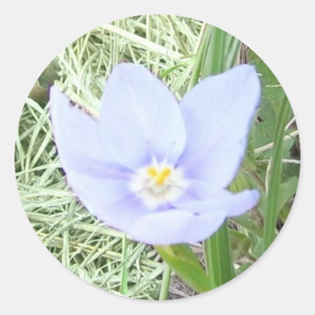 Lächelnde Blue Wildblume Stickers (Vorderseite)