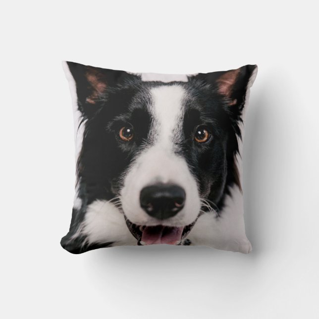 Lächelnde Border-Collie Getty Bild-| A Kissen (Vorderseite)