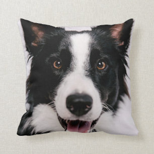 Lächelnde Border-Collie Getty Bild-  A Kissen