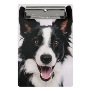 Lächelnde Border-Collie Getty Bild- A Mini Klemmbrett