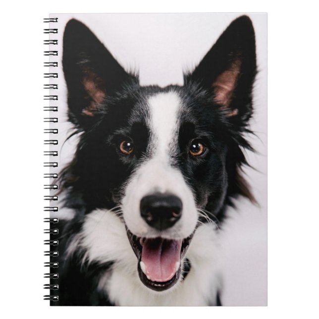 Lächelnde Border-Collie Getty Bild-| A Notizblock (Vorderseite)
