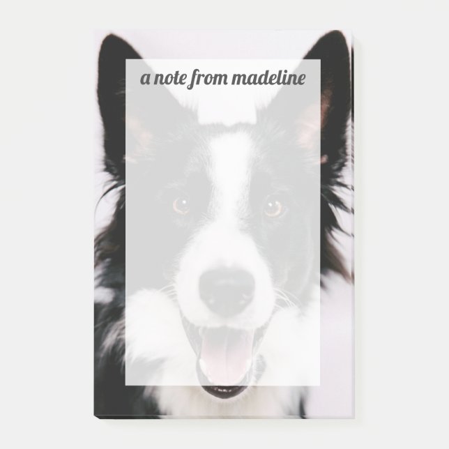 Lächelnde Border-Collie Getty Bild-| A Post-it Klebezettel (Vorderseite)