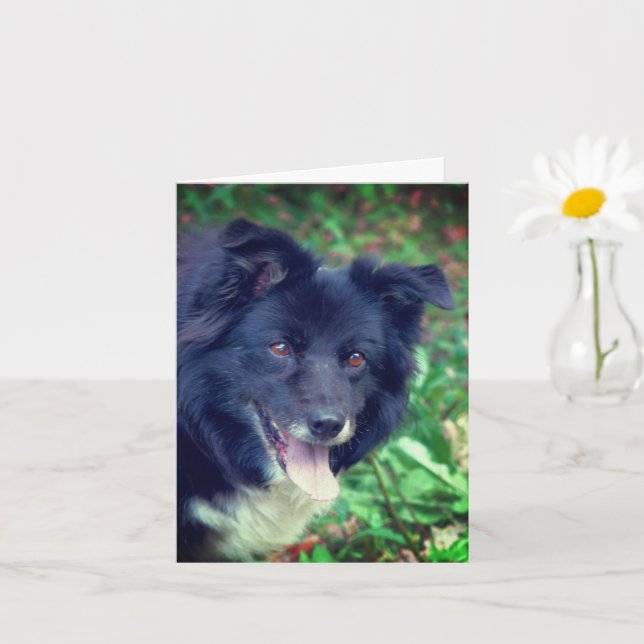 Lächelnde Border Collie Niedlicher Hund Personalis Karte (Kleine Pflanze)