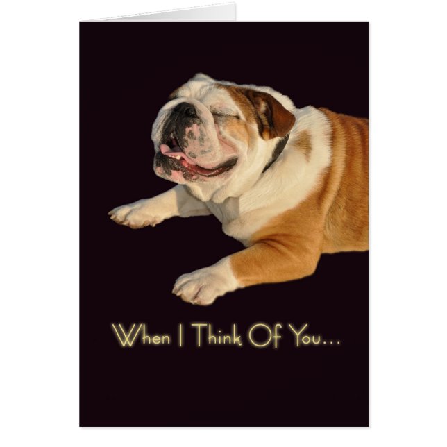 Lächelnde Bulldogge (Vorne)