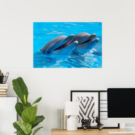 Lächelnde Delphine Poster